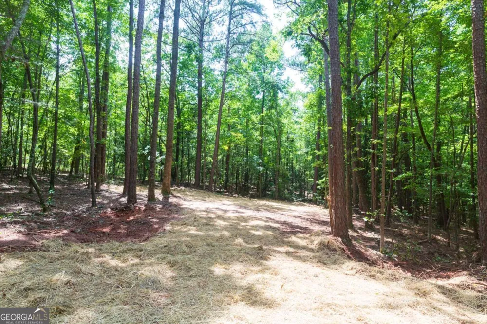 0 Roosevelt HWY - LOT 1 Warm Springs, GA 31830