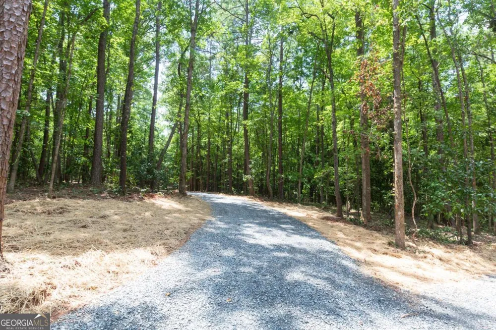0 Roosevelt HWY - LOT 1 Warm Springs, GA 31830