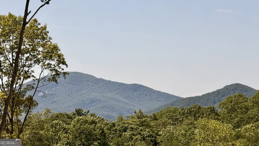 110 Sautee Ridge RD Clarkesville, GA 30523