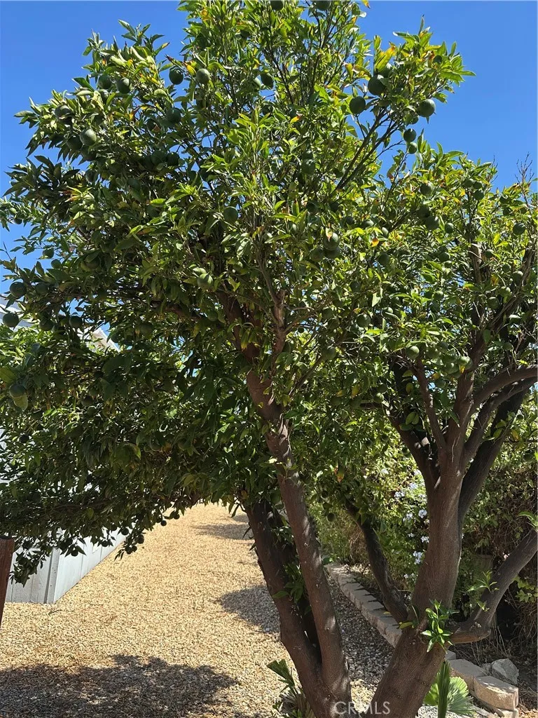 5001 W Florida Hemet, CA 92545