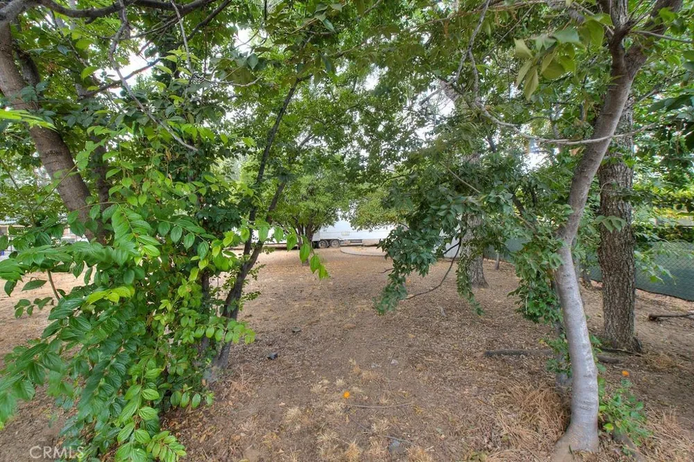 2803 Ladera Road San Bernardino, CA 92405