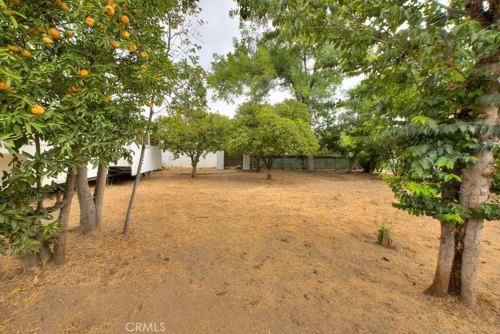 2803 Ladera Road San Bernardino, CA 92405