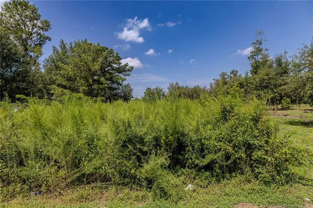 546 Pearsall Road Red Springs, NC 28377