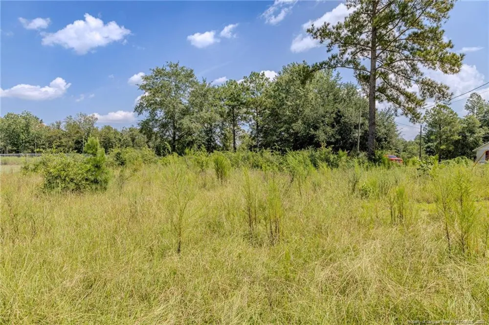 546 Pearsall Road Red Springs, NC 28377