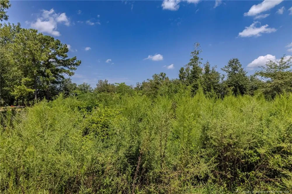 546 Pearsall Road Red Springs, NC 28377