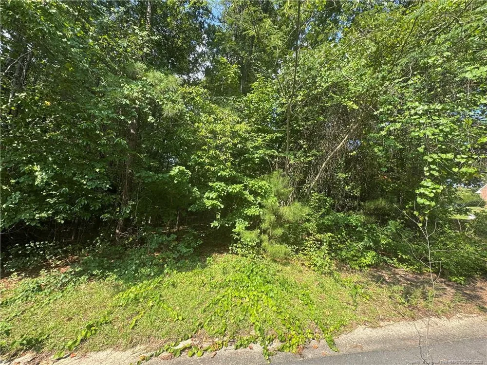 0 Stonington Drive Fayetteville, NC 28311