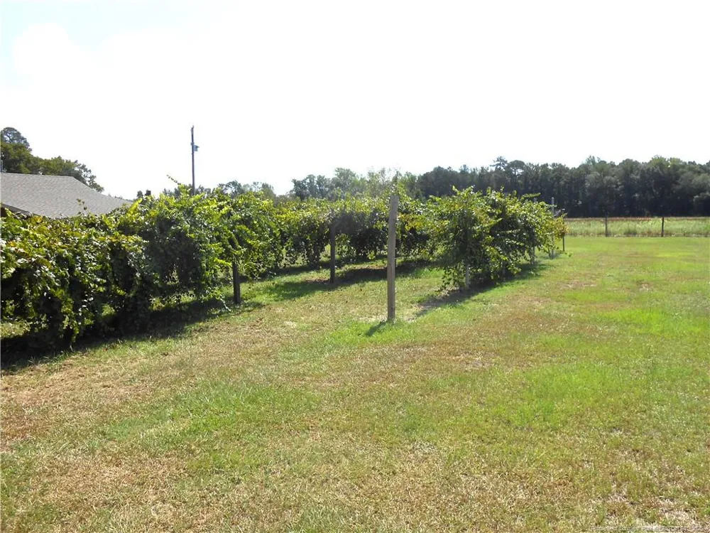 644 Lamb Road Lumberton, NC 28358