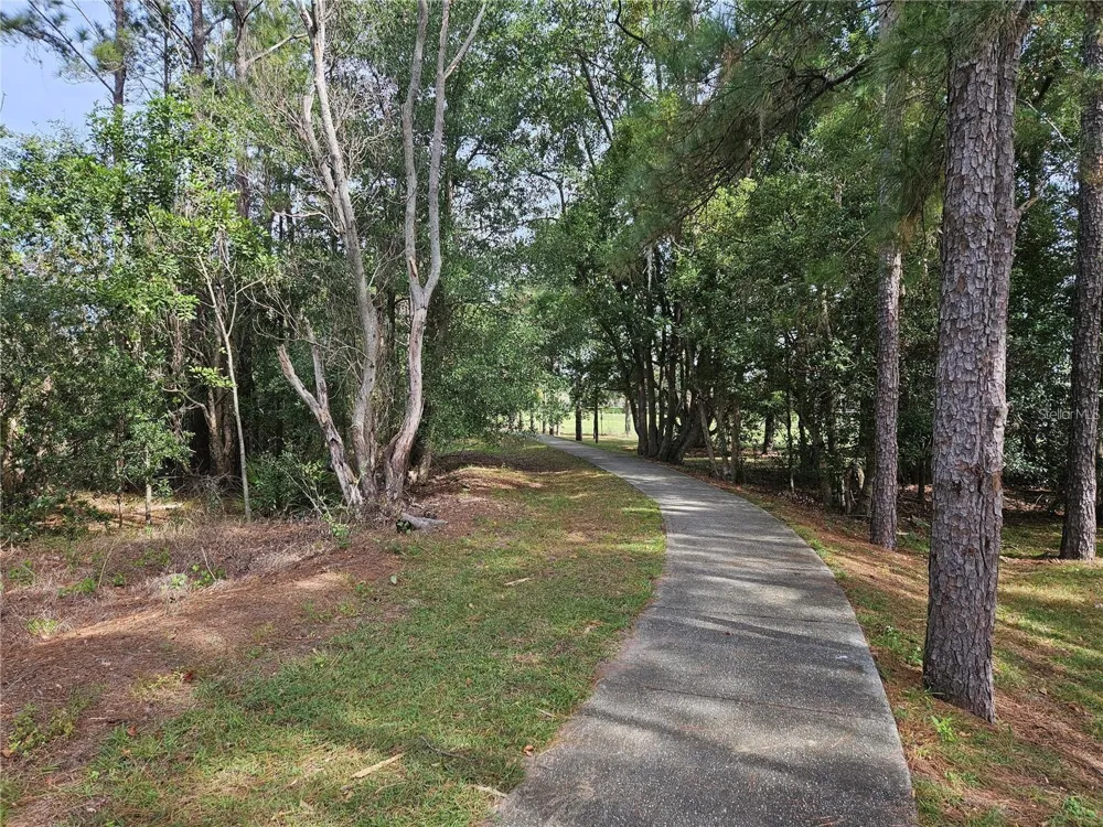 11753 FITZGERALD BUTLER ROAD Orlando, FL 32836