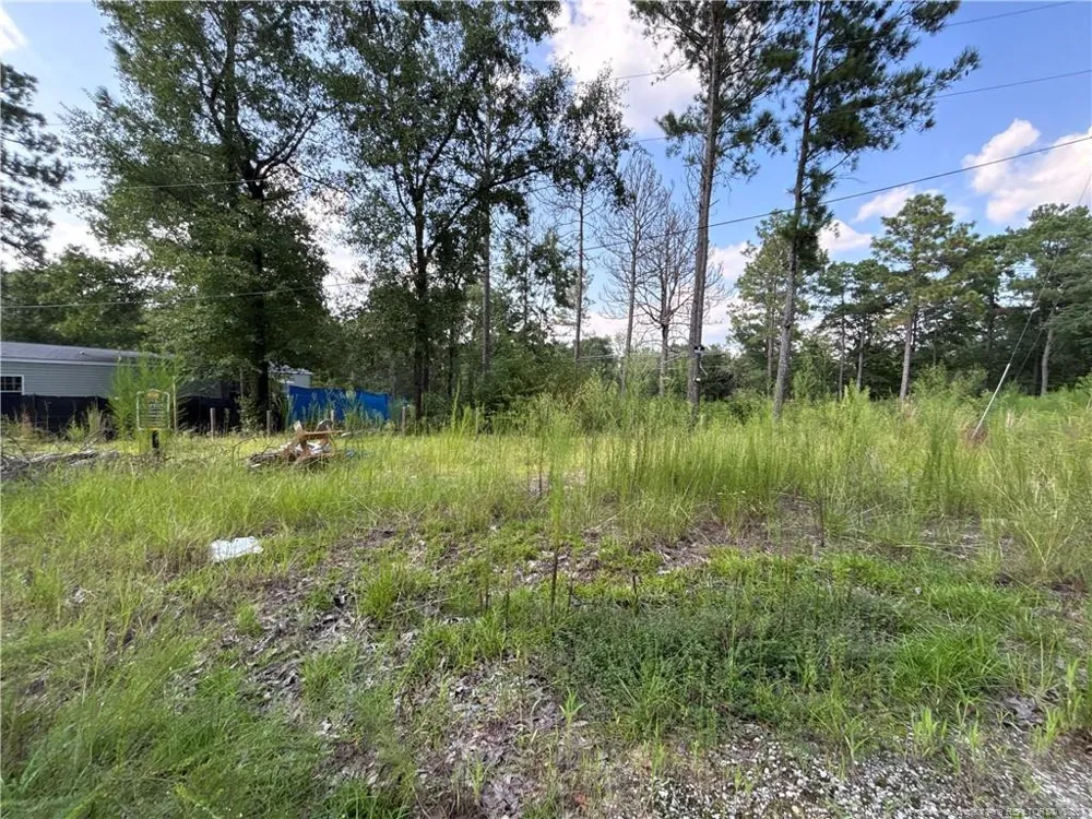 813 Wiregrass Road Hamlet, NC 28345