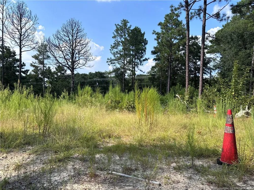 813 Wiregrass Road Hamlet, NC 28345