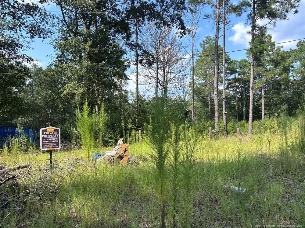 813 Wiregrass Road Hamlet, NC 28345