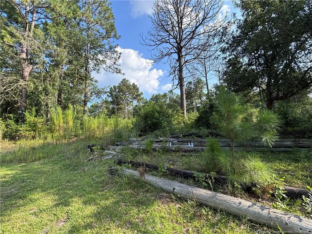 813 Wiregrass Road Hamlet, NC 28345
