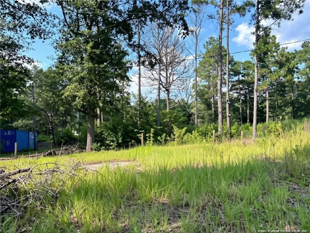 813 Wiregrass Road Hamlet, NC 28345