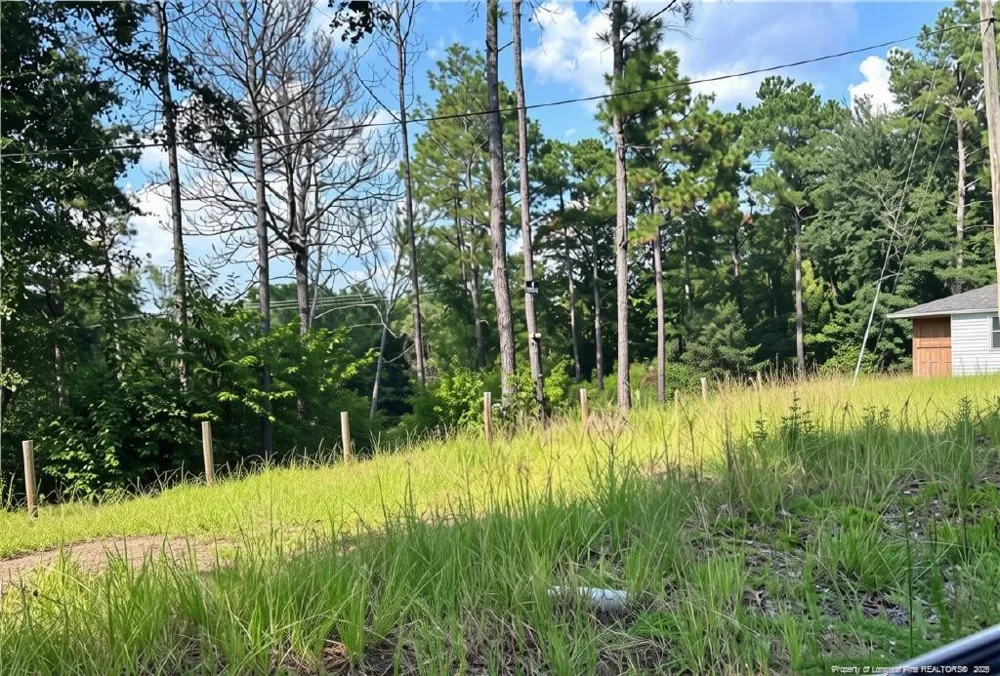813 Wiregrass Road Hamlet, NC 28345