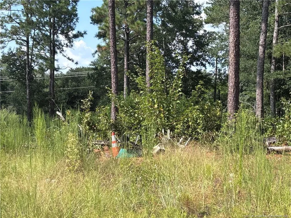 813 Wiregrass Road Hamlet, NC 28345