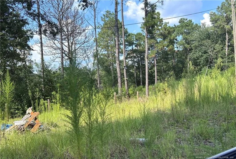 813 Wiregrass Road Hamlet, NC 28345