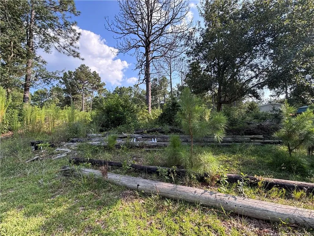 813 Wiregrass Road Hamlet, NC 28345