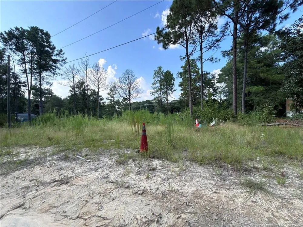 813 Wiregrass Road Hamlet, NC 28345