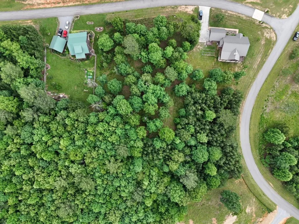 0 Village Loop Blairsville, GA 30512