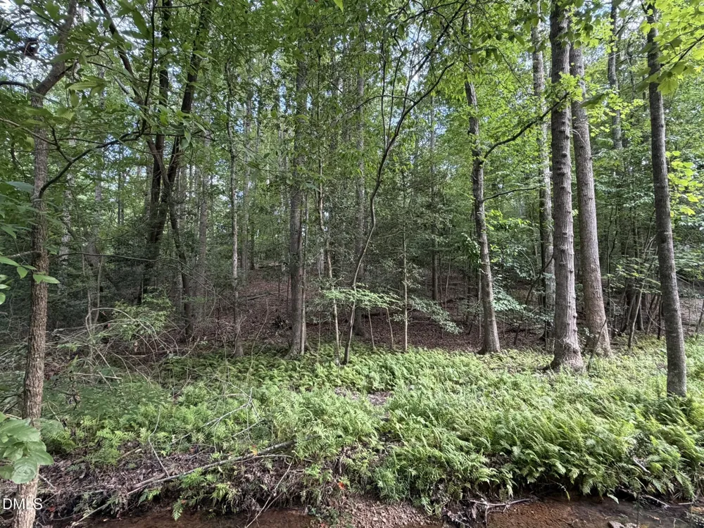 124 Navajo Drive Louisburg, NC 27549