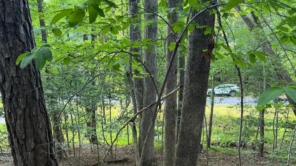 124 Navajo Drive Louisburg, NC 27549