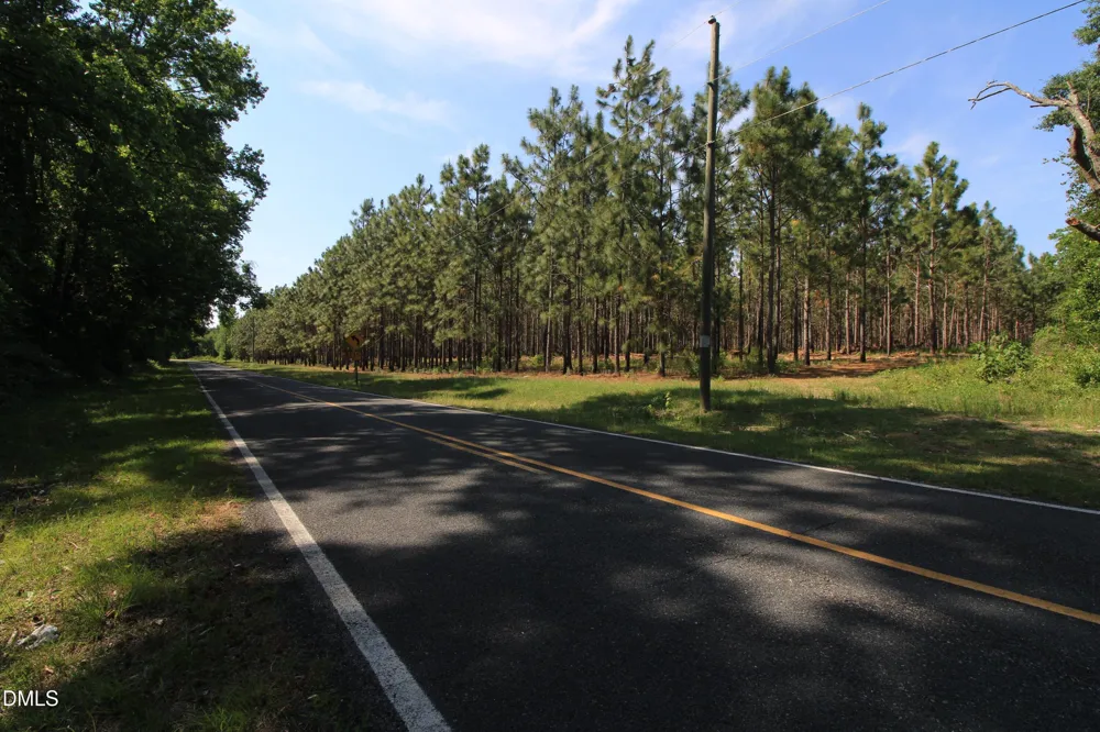 0 Johnson Pond Road Red Springs, NC 28377