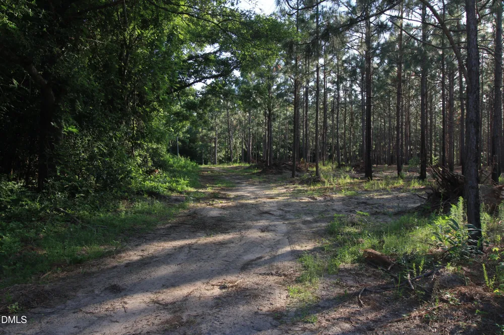 0 Johnson Pond Road Red Springs, NC 28377