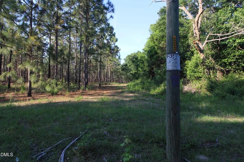 0 Johnson Pond Road Red Springs, NC 28377