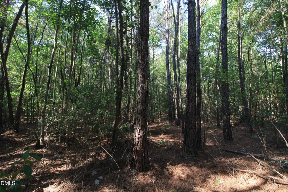 0 Johnson Pond Road Red Springs, NC 28377