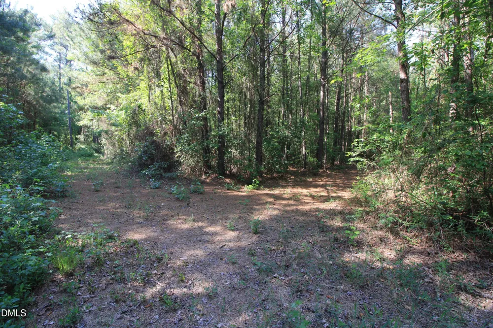 0 Johnson Pond Road Red Springs, NC 28377