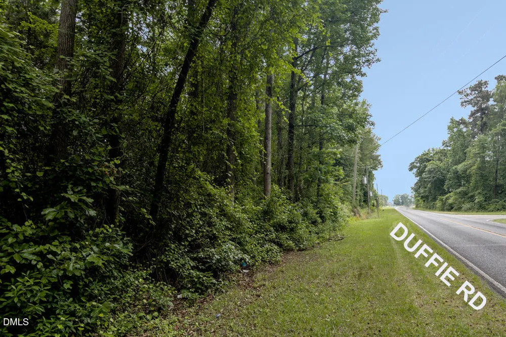 0 Johnson Pond Road Red Springs, NC 28377