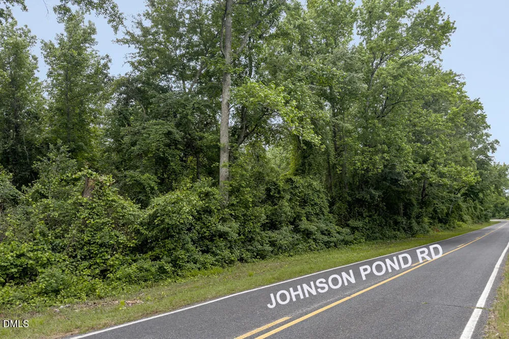 0 Johnson Pond Road Red Springs, NC 28377