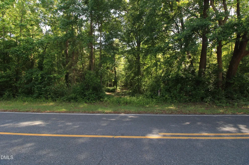 0 Johnson Pond Road Red Springs, NC 28377