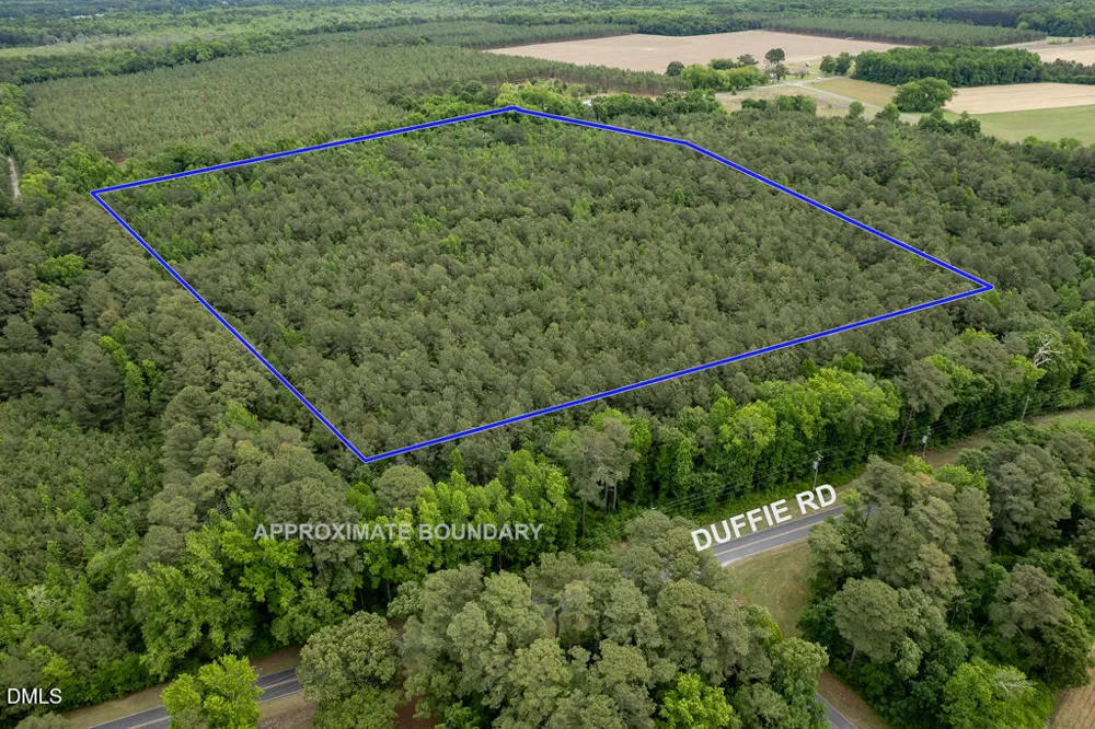 0 Johnson Pond Road Red Springs, NC 28377