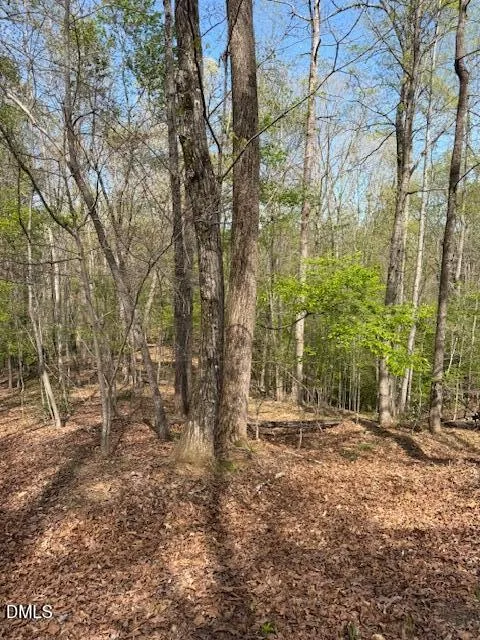 00 Seven Island (tr 3) Road Danbury, NC 27016
