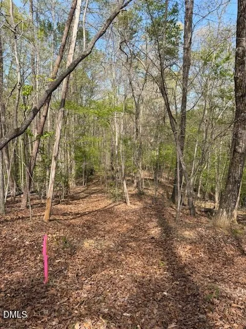 00 Seven Island (tr 3) Road Danbury, NC 27016