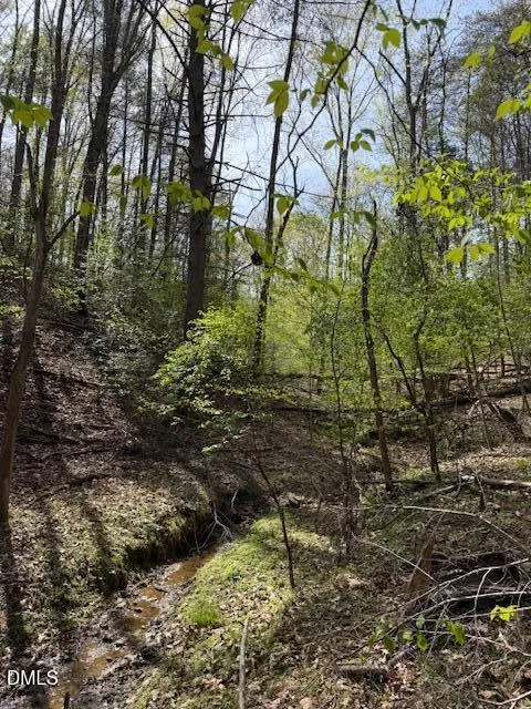 00 Seven Island (tr 3) Road Danbury, NC 27016
