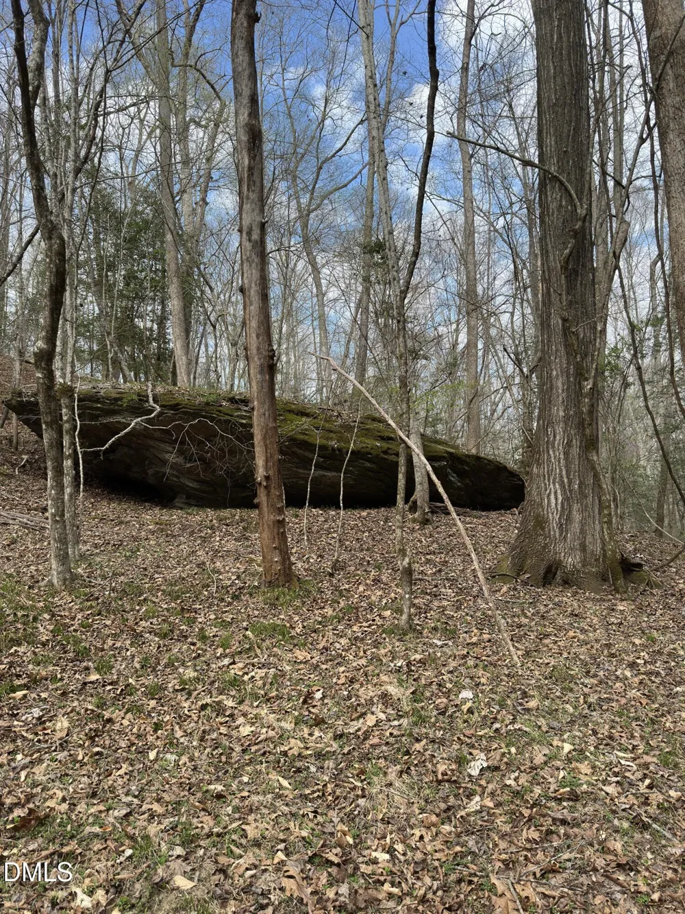 00 Seven Island (tr 2) Road Danbury, NC 27016