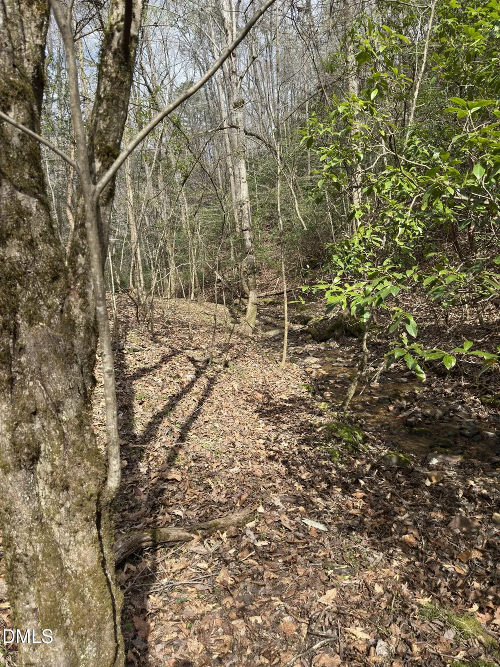 00 Seven Island (tr 2) Road Danbury, NC 27016