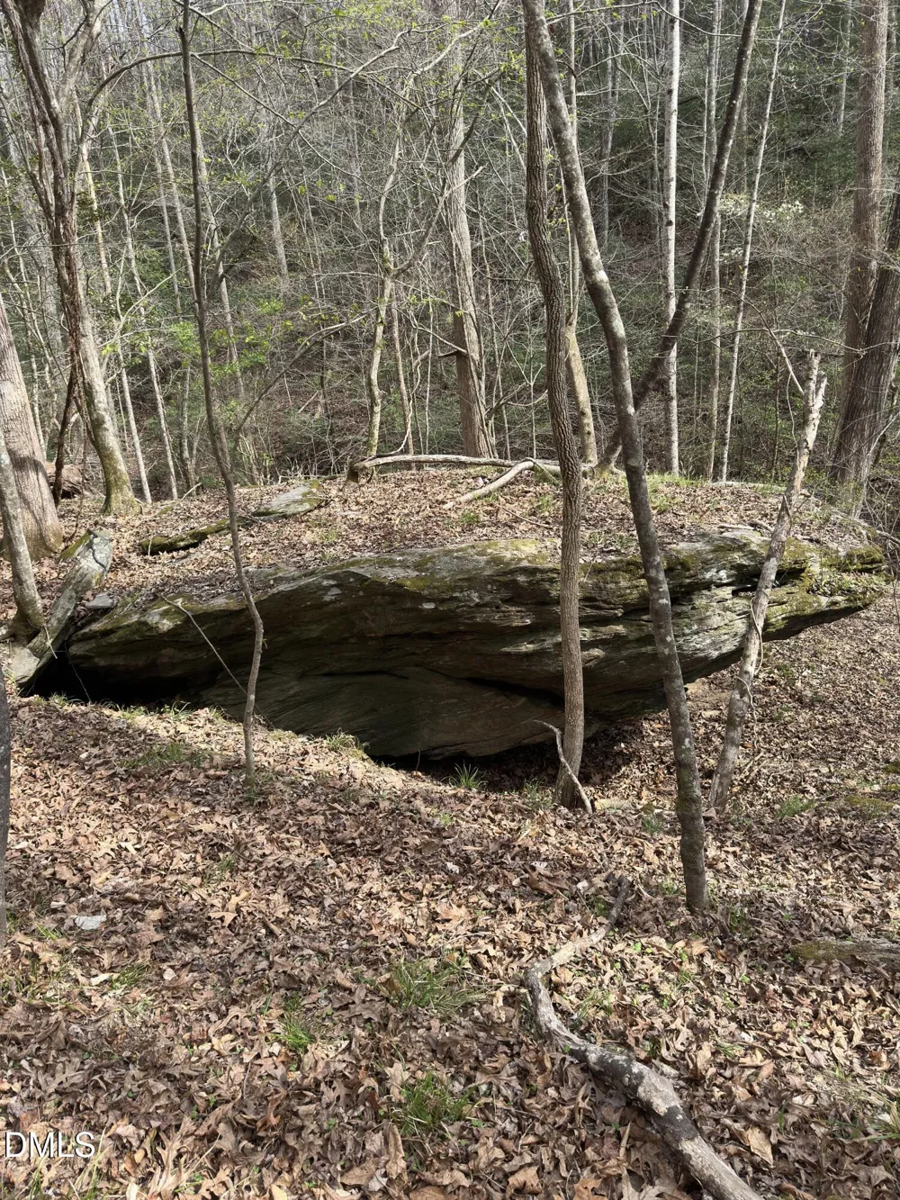 00 Seven Island (tr 2) Road Danbury, NC 27016