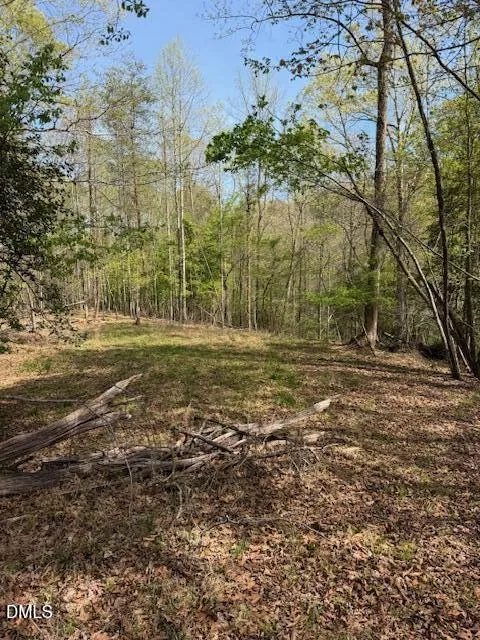 00 Seven Island (tr 2) Road Danbury, NC 27016