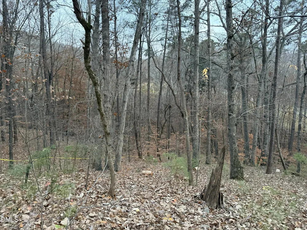 57803 Owen Chapel Hill, NC 27517