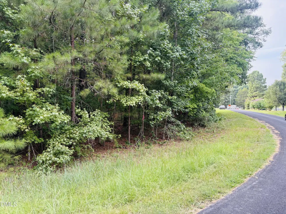 Tbd Richardson Road Pittsboro, NC 27312