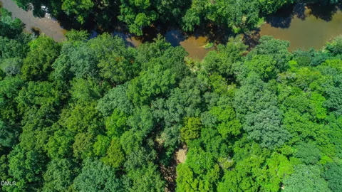 4.54 Acres Rassie Crabtree Road