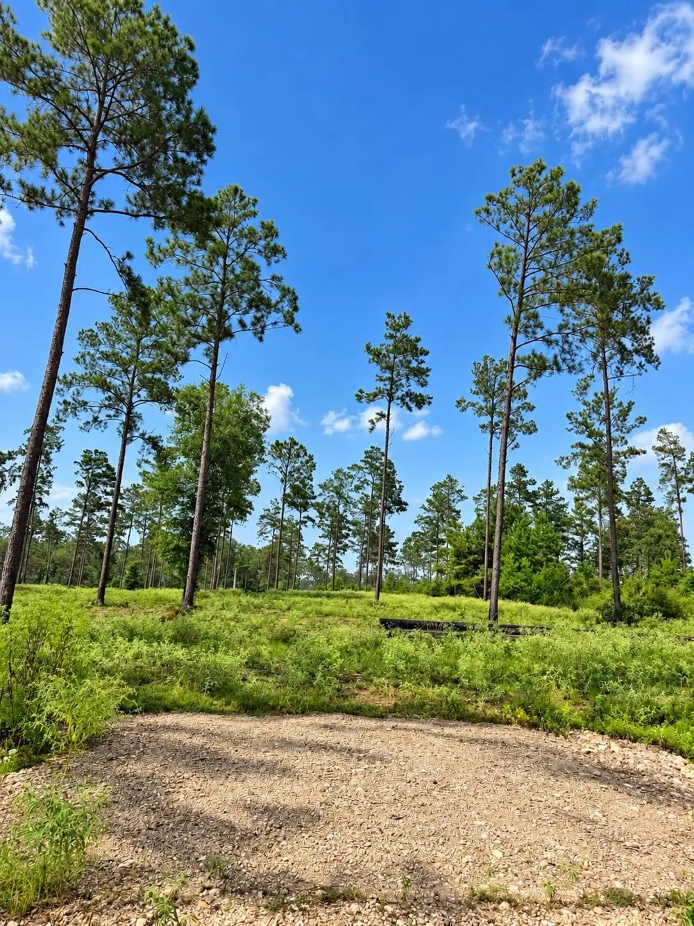 61 Reveille Road Livingston, TX 77351