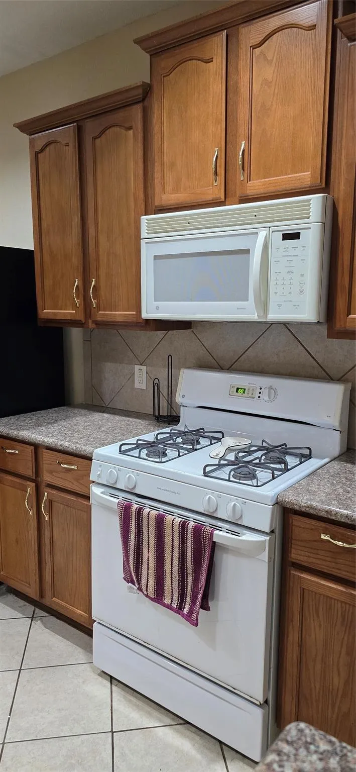 1018 Winter Green Court Missouri City, TX 77459