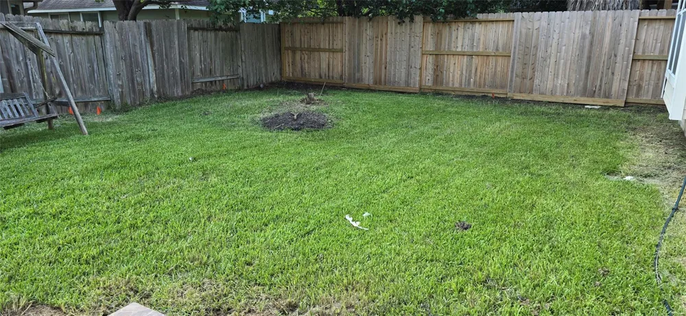 1018 Winter Green Court Missouri City, TX 77459