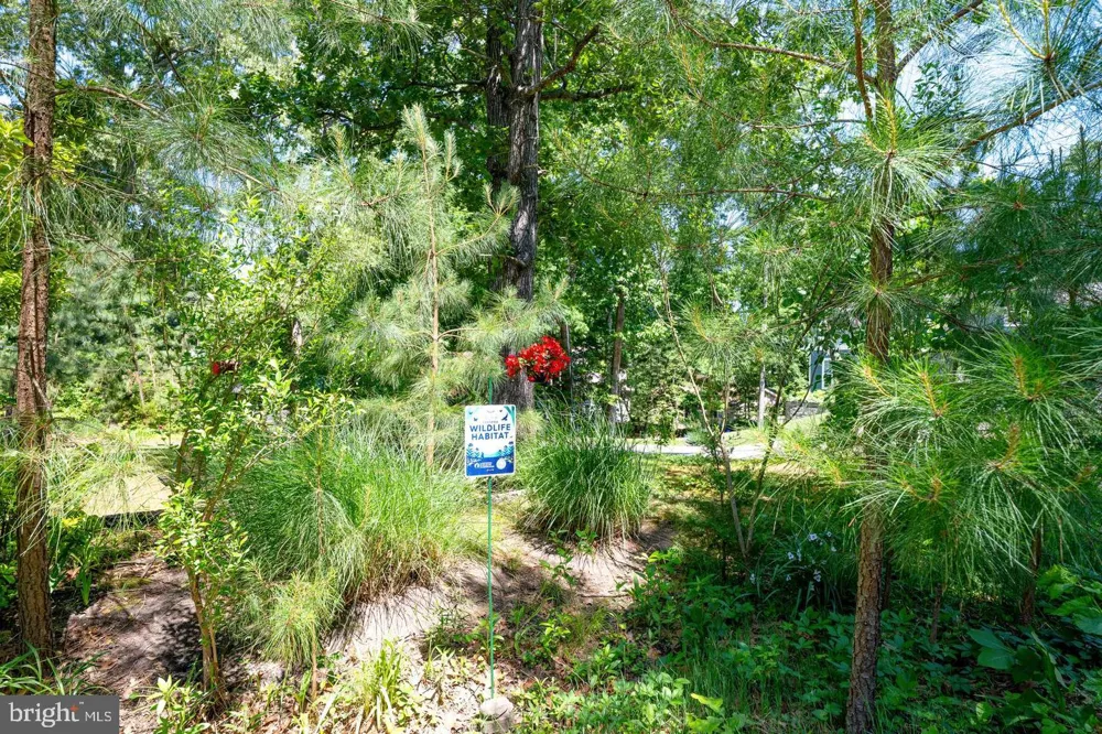 18816 SYLVAN DRIVE Rehoboth Beach, DE 19971
