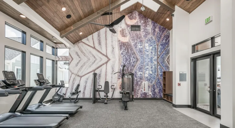 10503 Peek Road #1802 Cypress, TX 77433