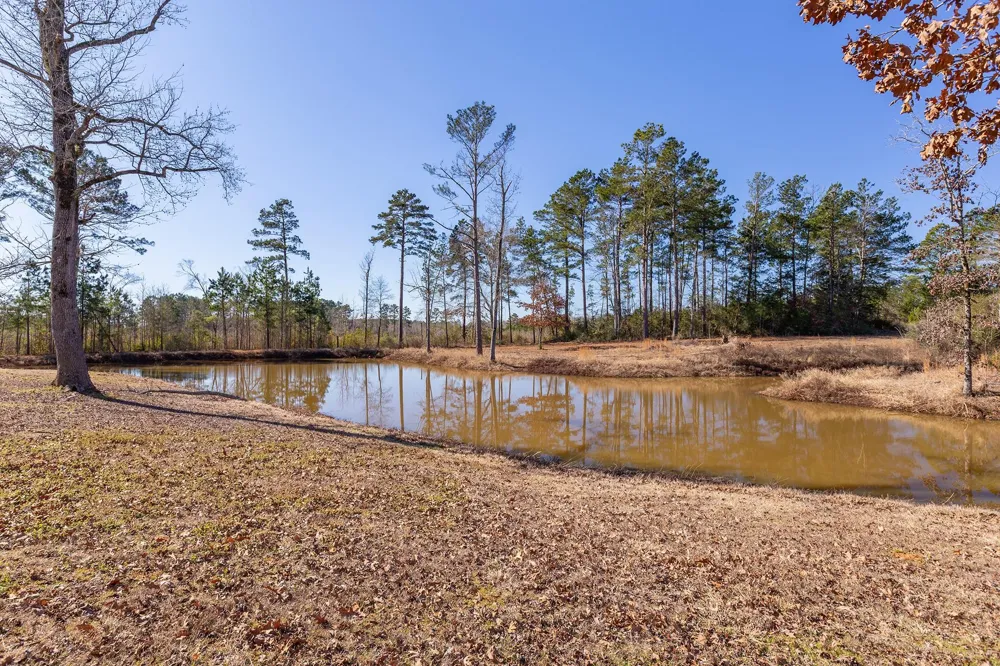 2731 Fm 225 Douglass, TX 75943